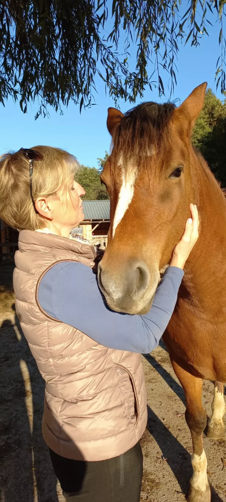 Tierenergetik-Sitzung mit Pferd zur Lösung von Blockaden